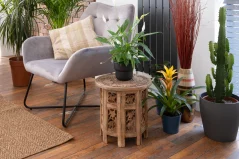 Mango Wood Side Table