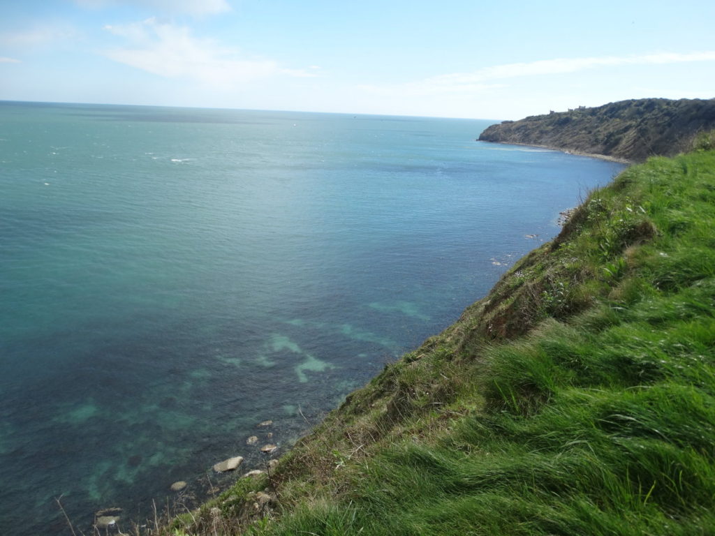 shop fairys photo of nature