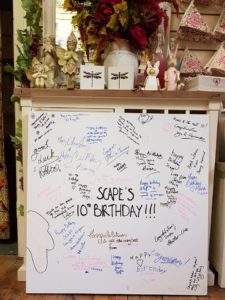 Scape 10th anniversary canvas