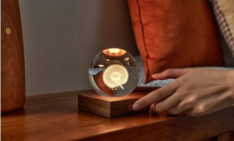 Dandelion design LED lit-up crystal light