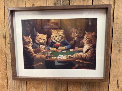 Cats Poke Night Framed Print