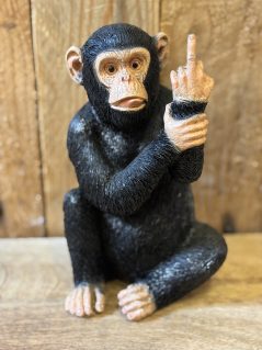 Large Naughty Monkey image