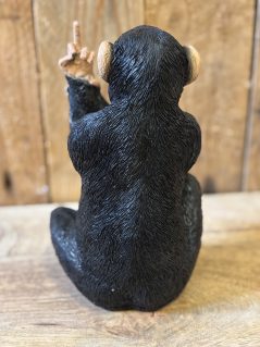 Large Naughty Monkey Back