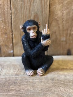 Small Naughty Monkey