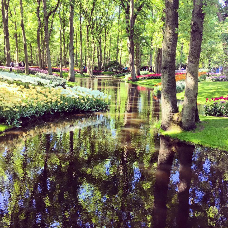 Shop fairy's favourite quotes about nature 26