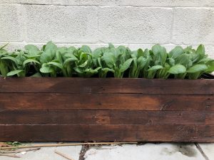planters made from wooden pallet