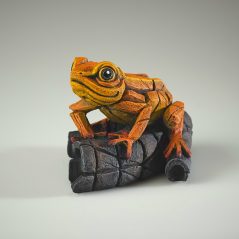 Hand Painted African Tree Frog Sculpture UK orange Dorset