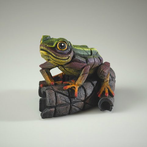 Hand Painted African Tree Frog Sculpture UK Rainbow Dorset