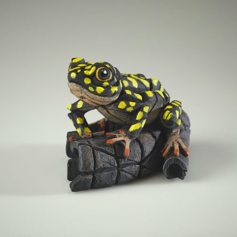 Hand Painted African Tree Frog Sculpture UK yellow spots Dorset