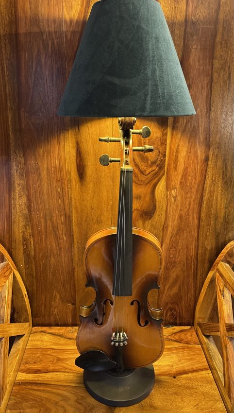 new photo violin