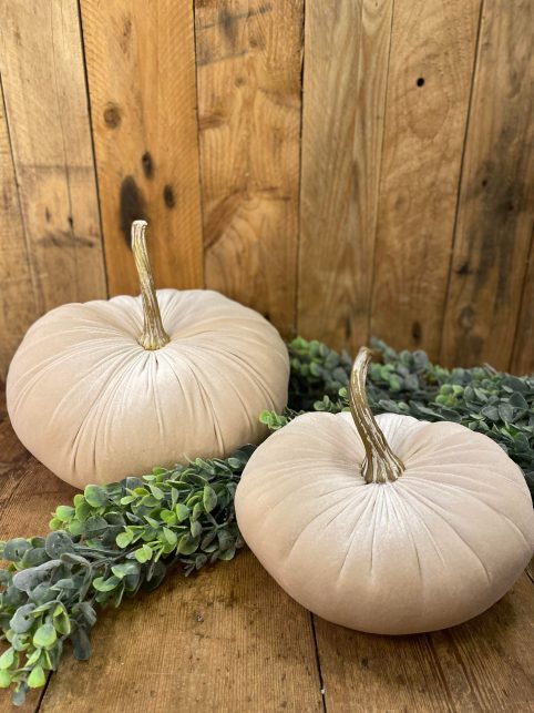 315523246_3228288977424114_724672797542746043_n autumn wedding Halloween Christmas cream velvet pumpkins decoration