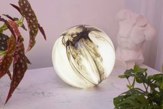 333569483_136905435984800_1204006255500782031_n 333569483_136905435984800_1204006255500782031_n