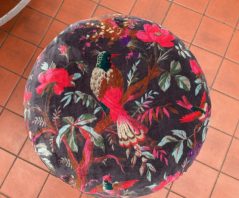 4AD44647-BFA7-4AB0-8B10-2DC9F442B9DD 4AD44647-BFA7-4AB0-8B10-2DC9F442B9DD