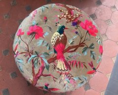 AE937192-FCA9-4A52-8519-BE4E663F7FF4 AE937192-FCA9-4A52-8519-BE4E663F7FF4