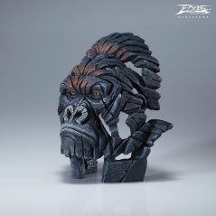 426621117_903388101212457_4834304950779539034_n 426621117_903388101212457_4834304950779539034_n