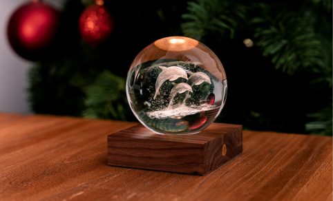 Website-Amber-Photos05-scaled Website-Amber-Photos05-scaled