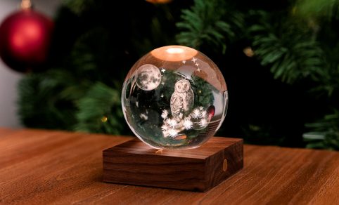 Website-Amber-Photos29-scaled Website-Amber-Photos29-scaled