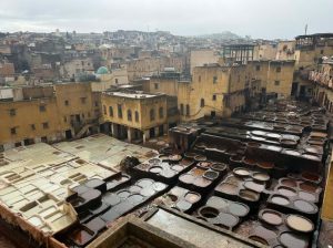 Discovering Morocco Again: Stories, Flavors, and the People Who Inspire 5 Chouara tannery