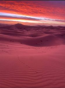 Discovering Morocco Again: Stories, Flavors, and the People Who Inspire 6 Sahara desert sunrise